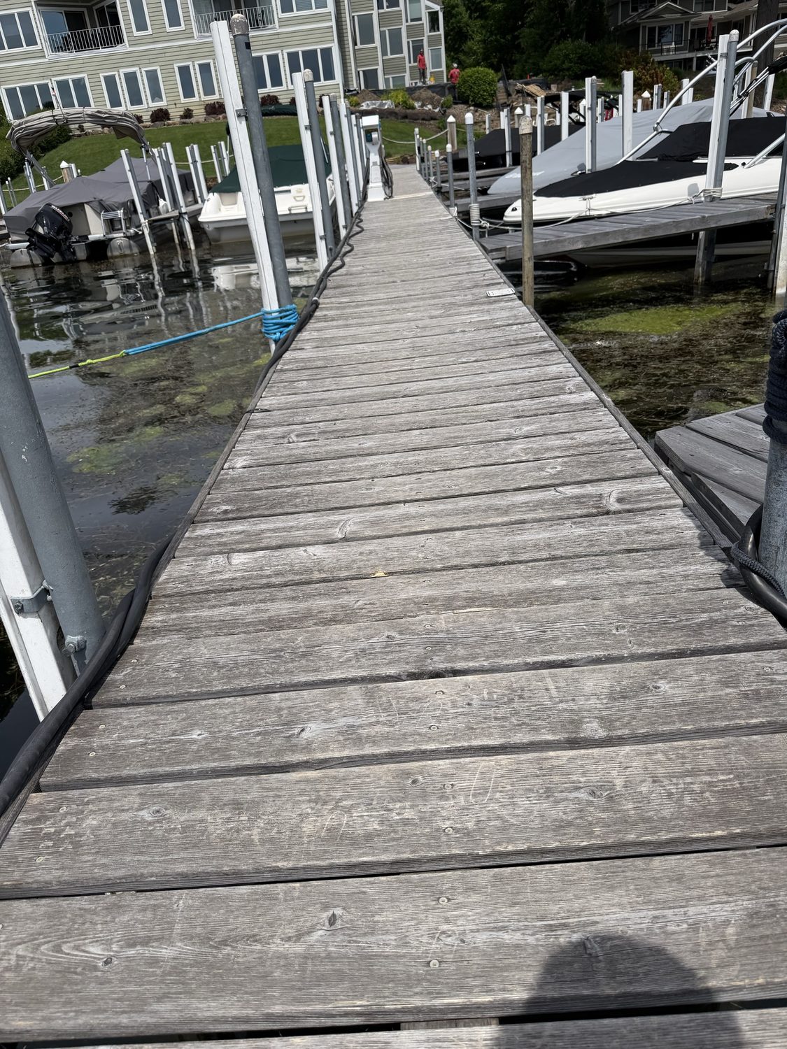 Boats moored at Chapman Place Marina